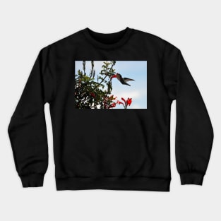 Bolivie - Colibri Crewneck Sweatshirt